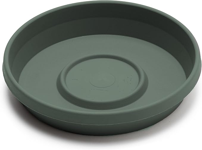 Bloem Terra Resin Saucer Tray: 4.75" Bottom Width - Image 3