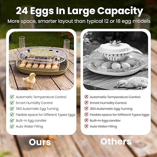 Incubators for Hatching Eggs, 24 Eggs Capacity - Image 5