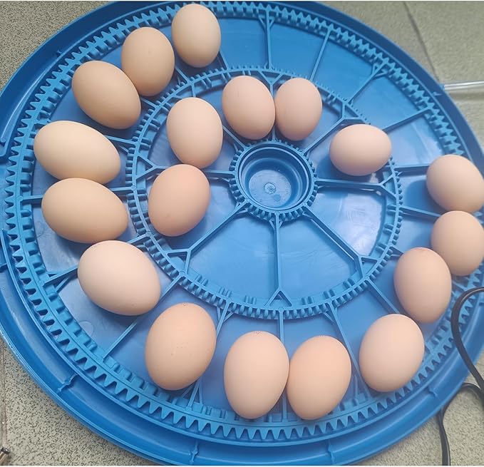 26-Egg Incubator with Automatic Egg Turning and Humidity Control | with 360° - Image 8