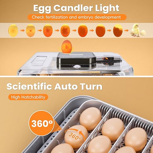 48 Incubators for Hatching Eggs, Egg Incubator - Image 5