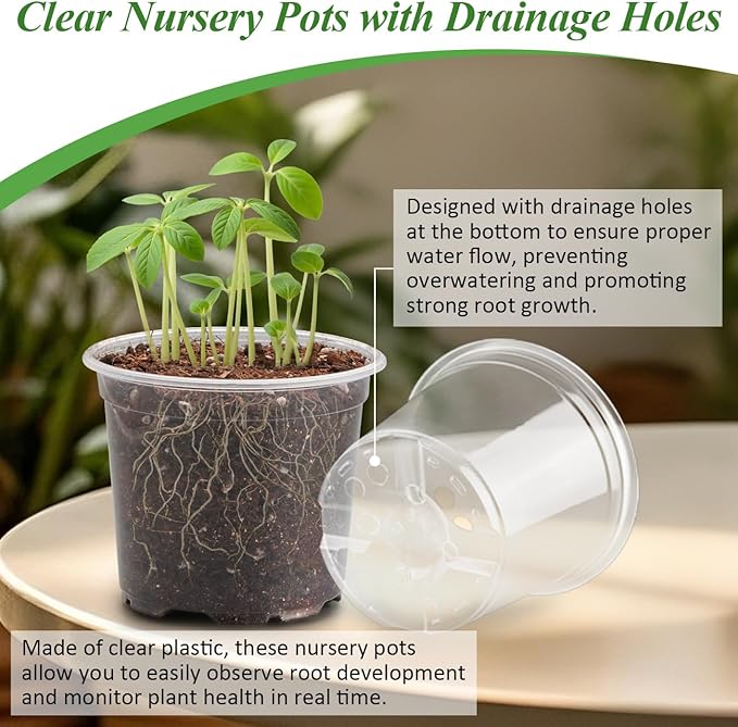 60 Pack Clear Nursery Pots - Image 3
