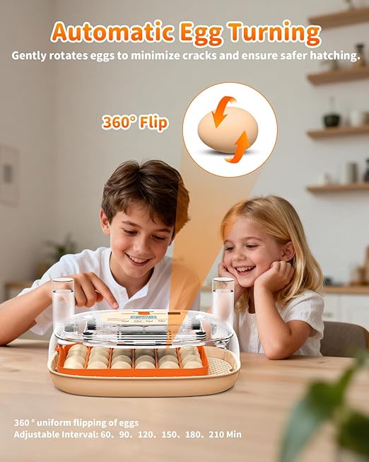 Egg Incubator for 24 Chicken Eggs - Image 4