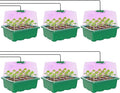 MIXC Seed Starter Kit with Grow Light, Elevated Seedling Tray Kit with by MIXC
