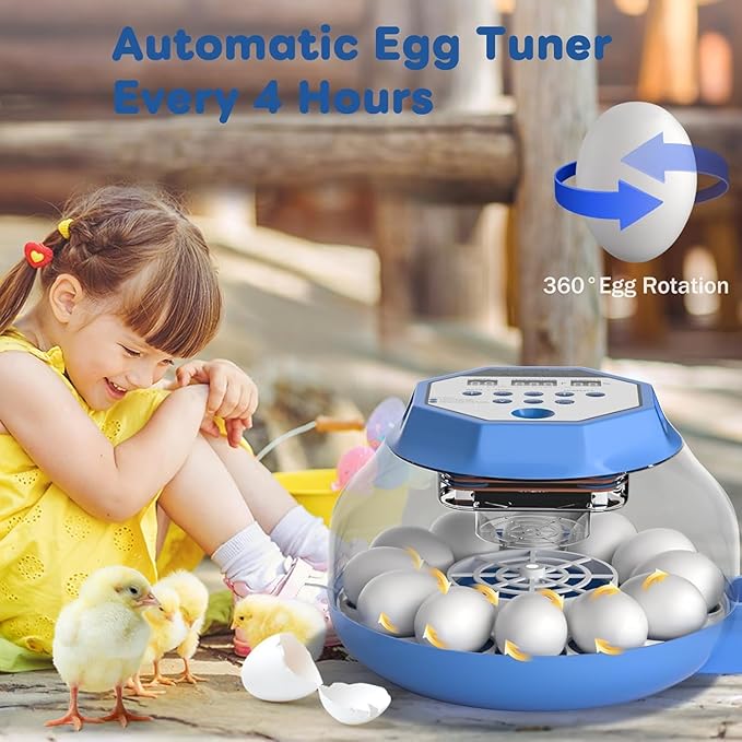 Incubator for Hatching Eggs12-24 Egg Capacity, Automatic Egg Turner, - Image 5