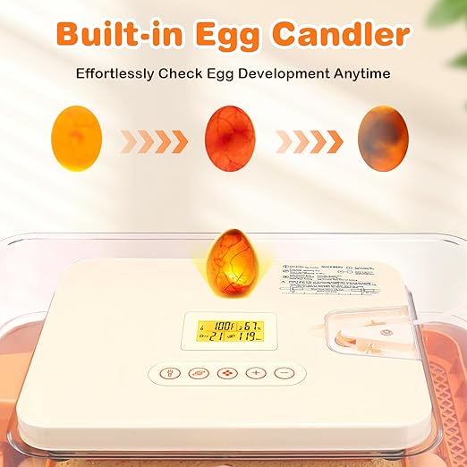 56 Egg Incubator for Hatching Chicken, Egg Incubator - Image 3