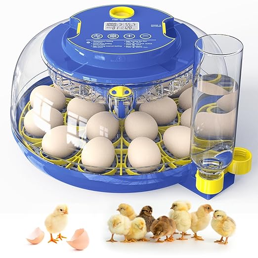 Incubators for Hatching Eggs, 18-Egg Incubator by Unknown