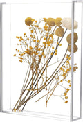 Memory Display Box by Unknown