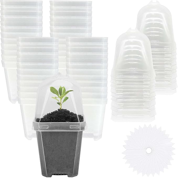 EBaokuup 50 Pcs Clear Plant Nursery Pots by EBaokuup