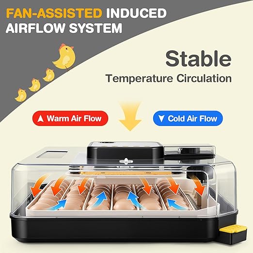Sailnovo 48 Egg Incubator for Hatching Eggs - Image 3