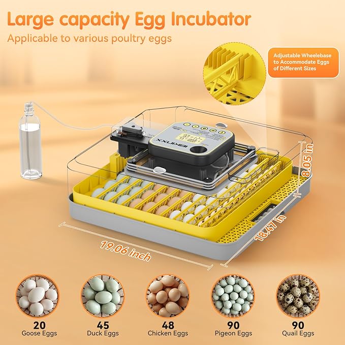 Incubator for Hatching Eggs-48 Egg Capacity, 2026 Newly Upraded Auto Egg Turner - Image 4