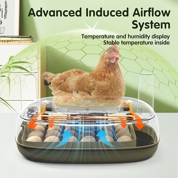 24 Egg Incubator with Automatic Turning, Temperature and Humidity Control - Image 2