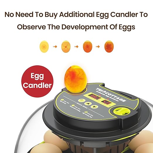 Incubators for Hatching Eggs 12 Egg Incubator - Image 5