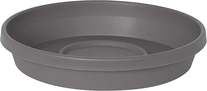 Bloem Terra Resin Saucer Tray: 8" Bottom Width by Bloem
