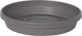 Bloem Terra Resin Saucer Tray: 8" Bottom Width by Bloem