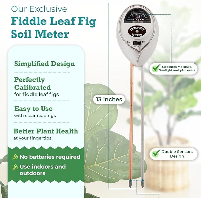 Houseplant Resource Center Fiddle Leaf Fig 3-in-1 Soil Moisture Meter - Image 2