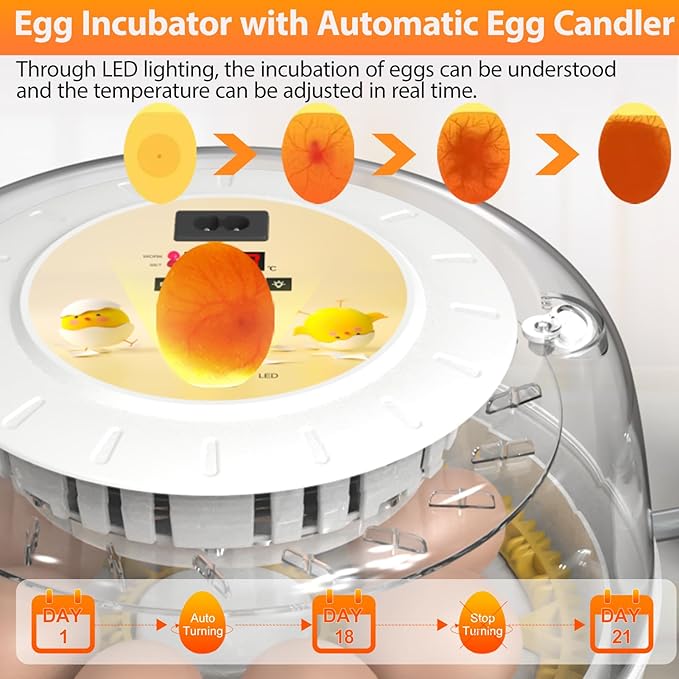 Egg Incubators for Hatching Eggs - Image 4