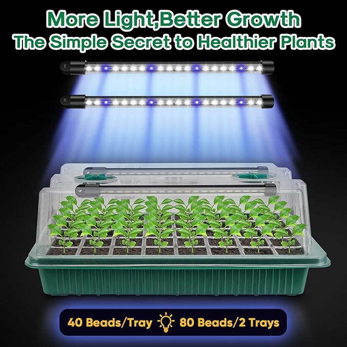 BlumWay Seed Starter Tray with Grow Light, 2 Pack 80 Cells Seedling Tray Kit - Image 8