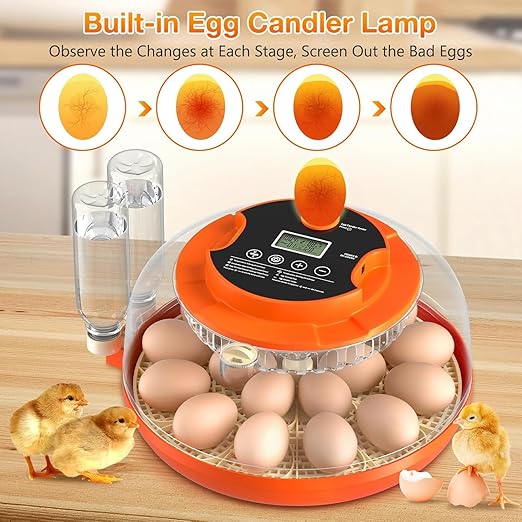 18 Egg Incubator with Automatic Egg Turning and Humidity Control, Eggs - Image 5