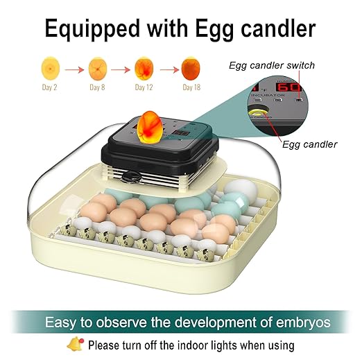 35 Egg Incubator with Automatic Egg Turning and Humidity Control, Incubator - Image 5