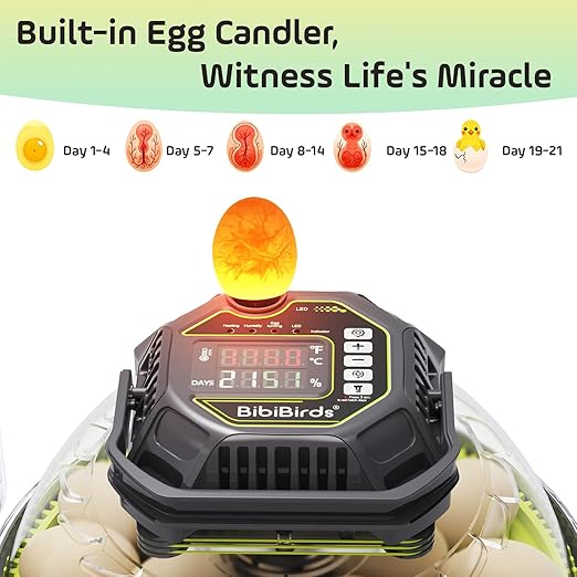 Egg Incubator with Automatic Egg Turning and Humidity Control, Built in Atomizer - Image 3