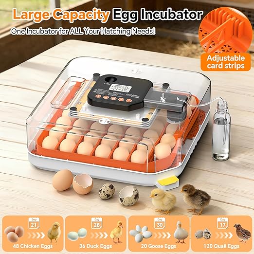 48 Egg Incubator for Hatching Eggs, Chicken Incubator - Image 6