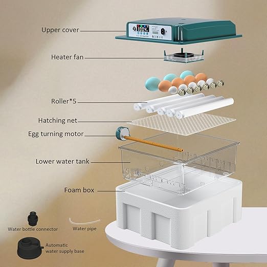 Incubators for Hatching 16 Eggs, Egg Incubator - Image 8