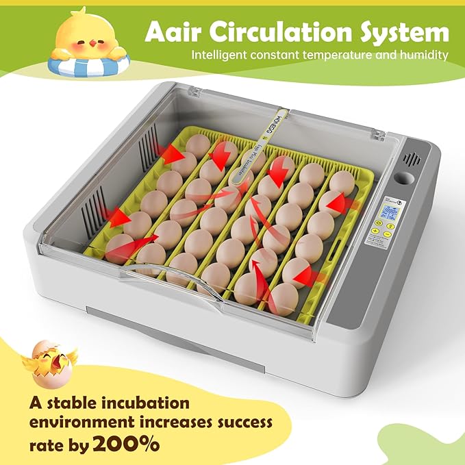 Egg Incubator for Hatching Chicks, 36 Eggs Automatic Turner - Image 2