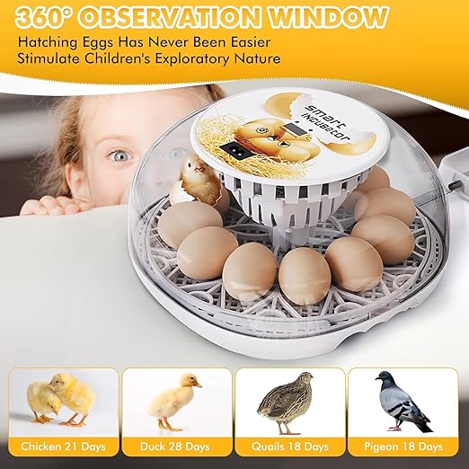 Egg incubators for Hatching Eggs, Automatic Egg Turning 12-24 Poultry Incubator - Image 6