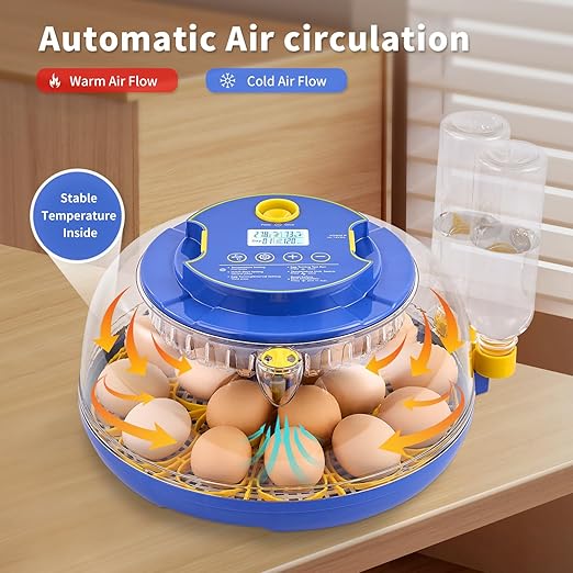 18 Egg Incubator with Auto Turn & Humidity Control, 360° View Poultry Hatcher - Image 6