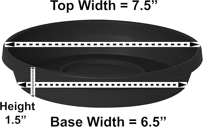 Bloem Terra Resin Saucer Tray: 6.5" Bottom Width - Image 4
