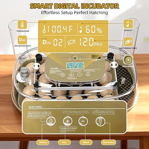 24 Incubators for Hatching Eggs, Egg Incubator - Image 3