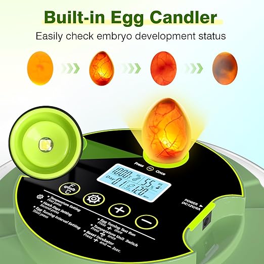 18 Egg Incubators for Hatching Eggs, Egg Incubator - Image 2