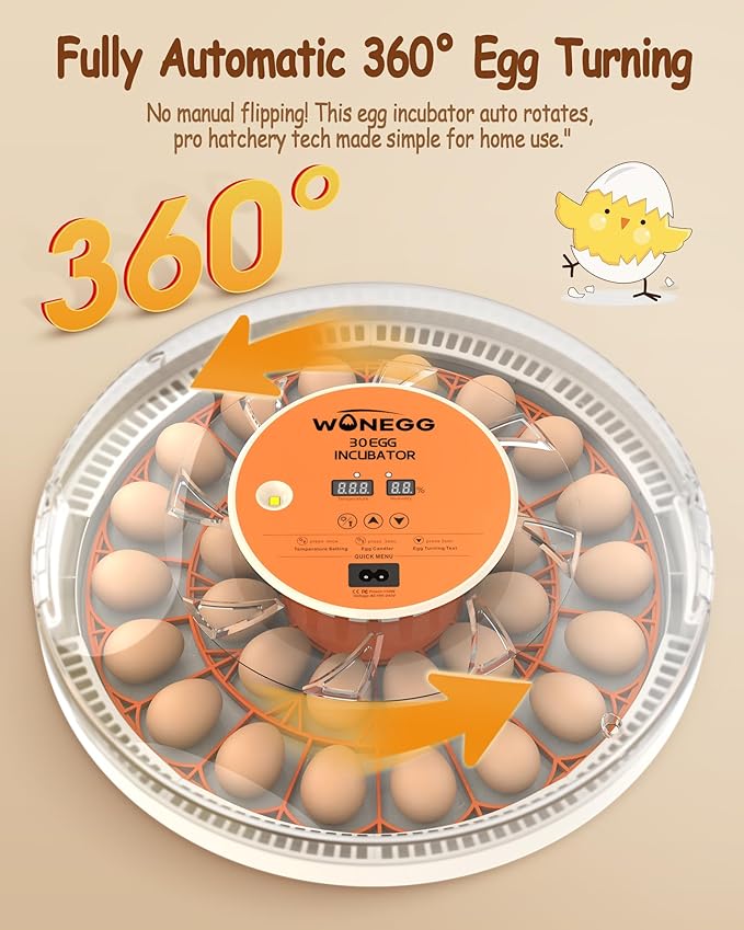 30 Egg Incubators for Hatching Eggs - Image 2