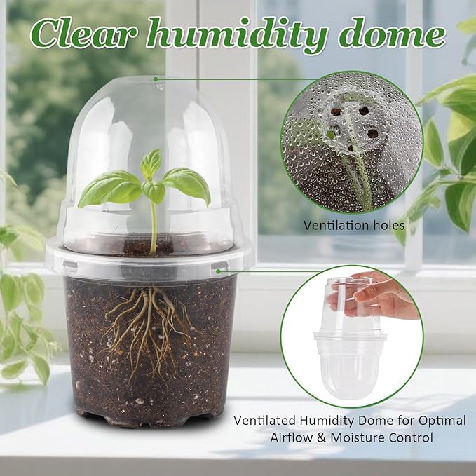 60 Pack Clear Nursery Pots - Image 2