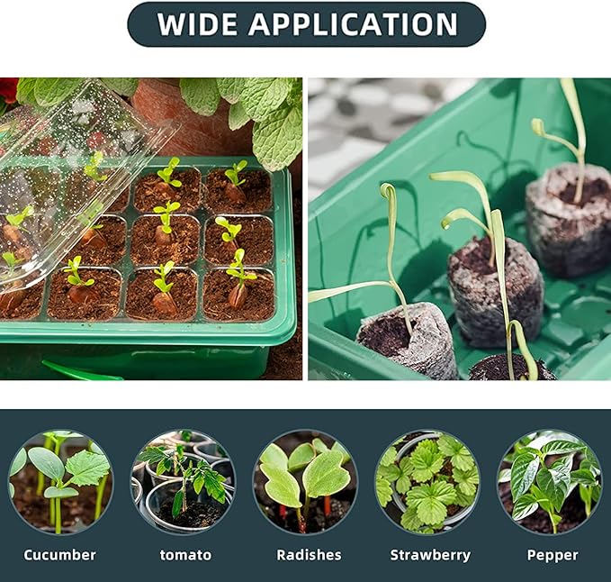 Seedling Starter Tray 6 Packs Seed Starter Tray - Image 4