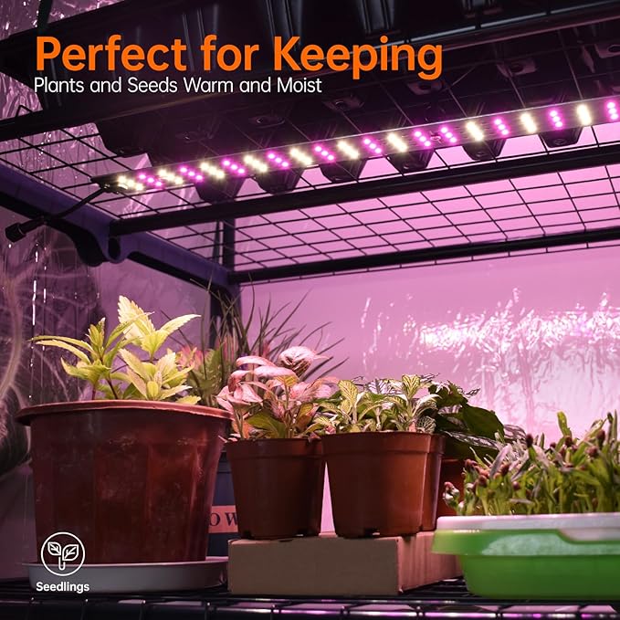 Bstrip Indoor Greenhouse with Grow Lights, 4 Tier 27.2" L×19.9" W×61.8" H Mini - Image 2