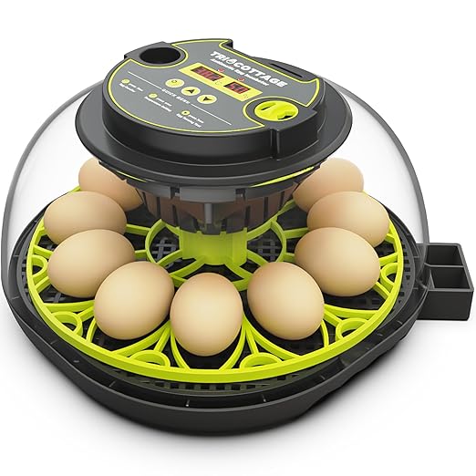 Incubators for Hatching Eggs 12 Egg Incubator by TRIOCOTTAGE
