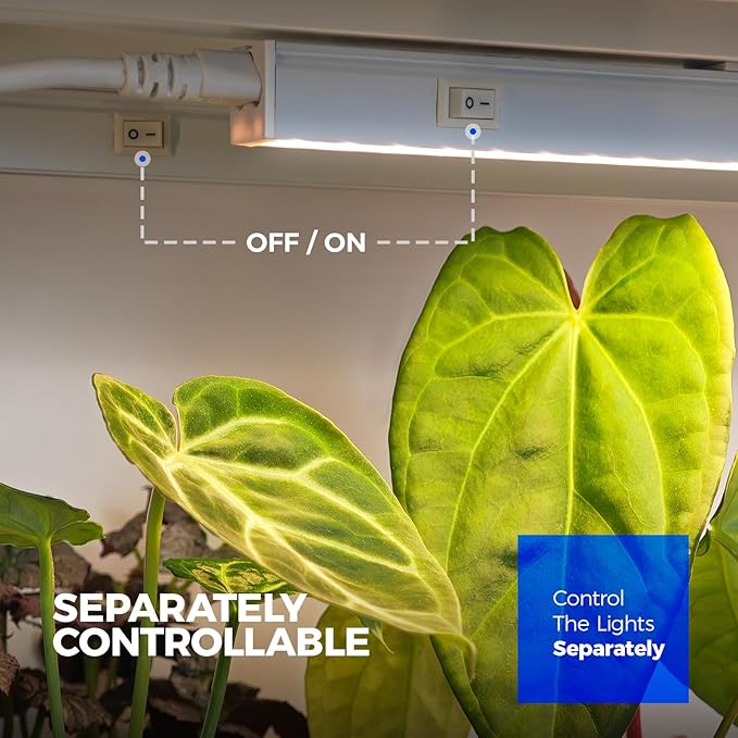 Barrina Grow Lights for Indoor Plants Full Spectrum, 2ft 40W, T5 Plant Lights - Image 5