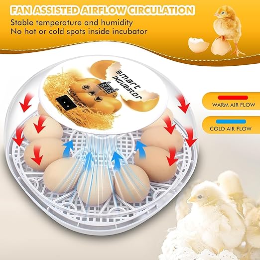 Egg incubators for Hatching Eggs, Automatic Egg Turning 12-24 Poultry Incubator - Image 3