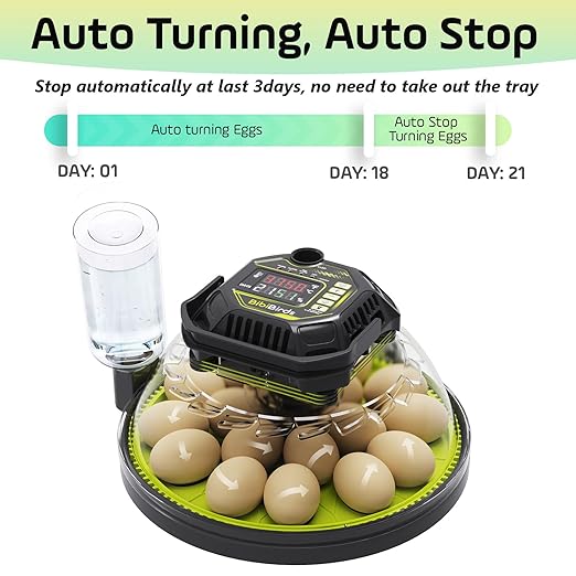 Egg Incubator with Automatic Egg Turning and Humidity Control, Built in Atomizer - Image 2