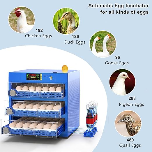 Automatic Eggs Incubator, Large Incubators - Image 2