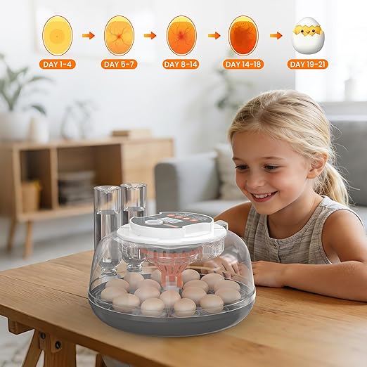 18 Egg Automatic Egg Incubator for Hatching Eggs, Chicken Egg Incubator - Image 7