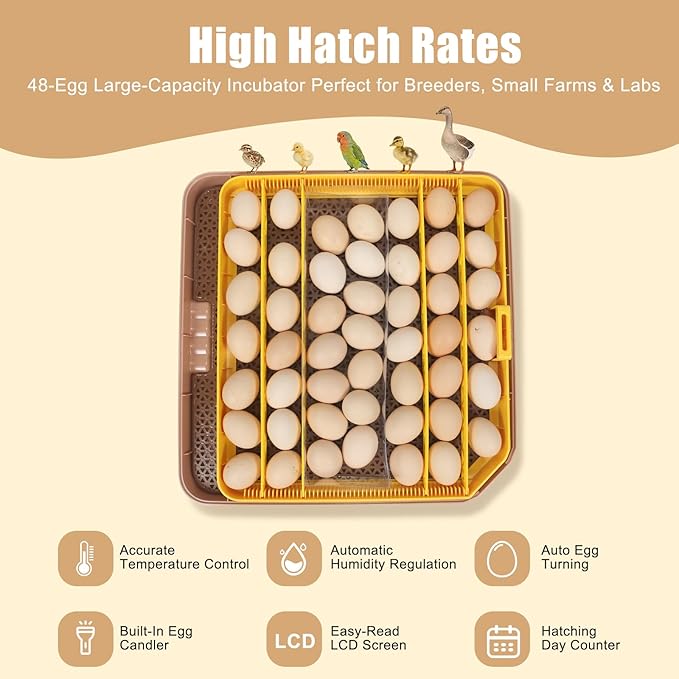 Master 48 Egg Incubator for Breeders, Fully Automated, Accurate Humidity & Temp - Image 7