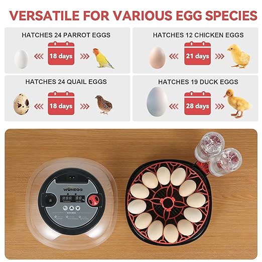 2nd Gen - 12 Egg Automatic Incubator, Two-Stage Humidity - Image 6