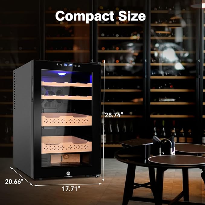Electric Cooler Cabinet 70L - Image 2