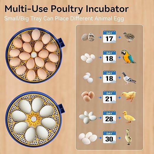 18 Egg Incubators for Hatching Eggs, Chicken Egg Incubator - Image 7