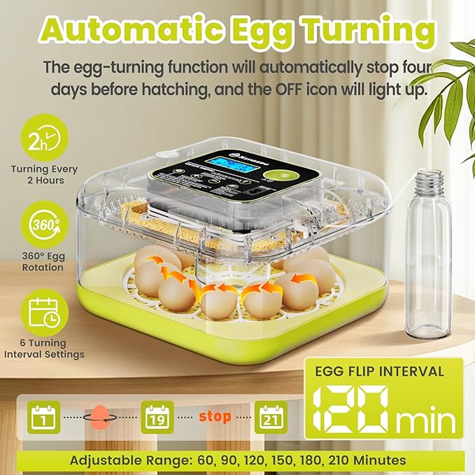 Egg Incubators for Hatching Eggs, 12 Egg Incubator - Image 4
