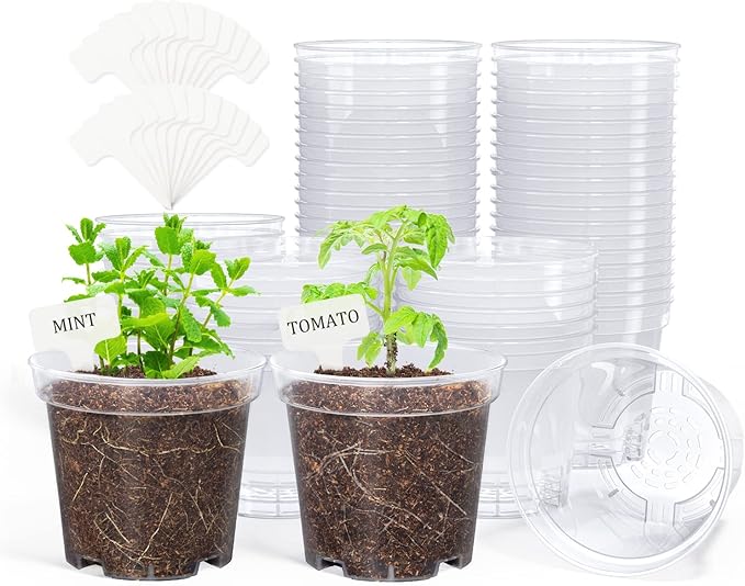 homenote Clear Nursery Pots for Plants, 4 Inch Plant Pot for Planting Plastic by HOMENOTE