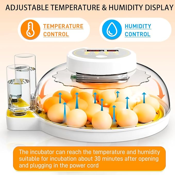 18/60 Incubator for Hatching Eggs, Egg Incubators - Image 5