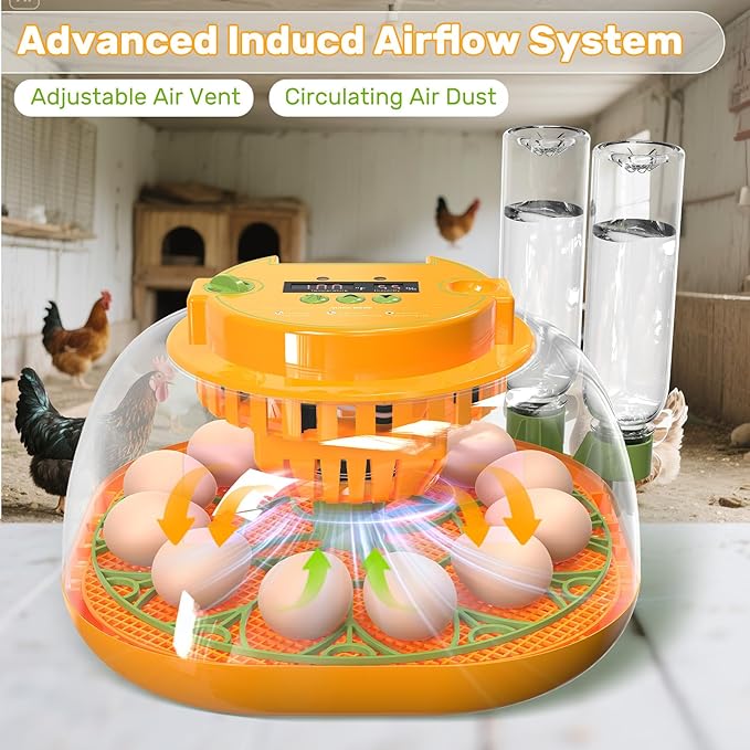 Incubators for Hatching Eggs, 12 Egg Incubator - Image 6